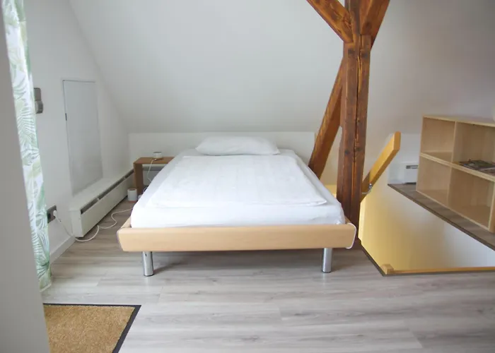 Traumzeit Mit Balkon In Vorstadtvilla * Dresden