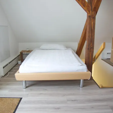 Traumzeit Mit Balkon In Vorstadtvilla * Dresden